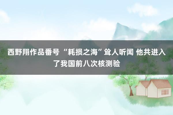 西野翔作品番号 “耗损之海”耸人听闻 他共进入了我国前八次核测验