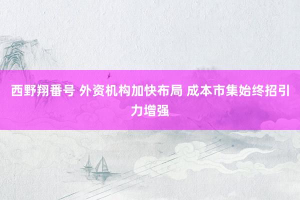 西野翔番号 外资机构加快布局 成本市集始终招引力增强