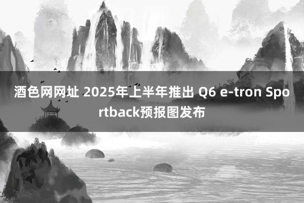 酒色网网址 2025年上半年推出 Q6 e-tron Sportback预报图发布