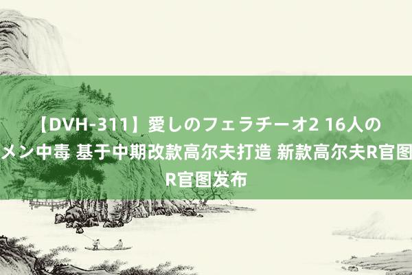 【DVH-311】愛しのフェラチーオ2 16人のザーメン中毒 基于中期改款高尔夫打造 新款高尔夫R官图发布