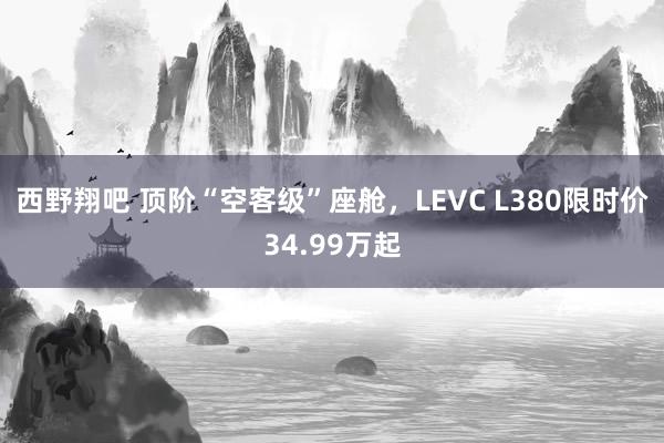 西野翔吧 顶阶“空客级”座舱，LEVC L380限时价34.99万起