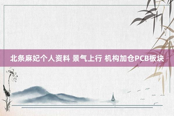 北条麻妃个人资料 景气上行 机构加仓PCB板块