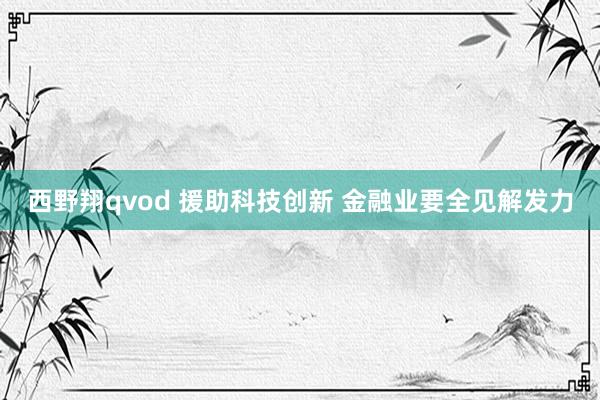 西野翔qvod 援助科技创新 金融业要全见解发力