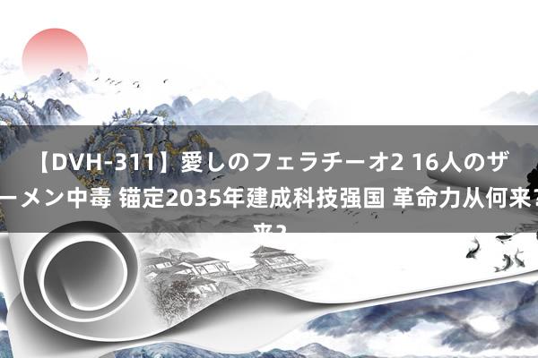 【DVH-311】愛しのフェラチーオ2 16人のザーメン中毒 锚定2035年建成科技强国 革命力从何来？