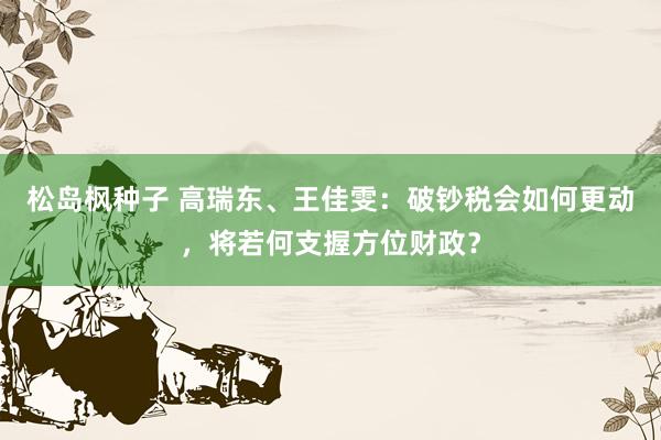 松岛枫种子 高瑞东、王佳雯：破钞税会如何更动，将若何支握方位财政？