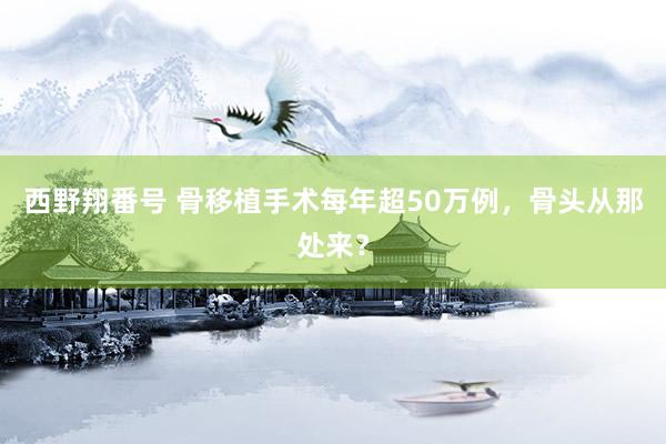 西野翔番号 骨移植手术每年超50万例，骨头从那处来？