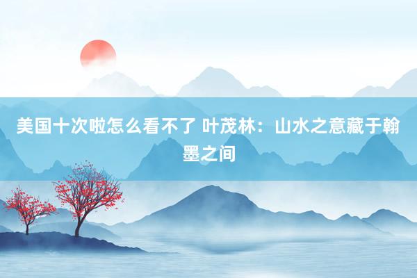 美国十次啦怎么看不了 叶茂林：山水之意藏于翰墨之间