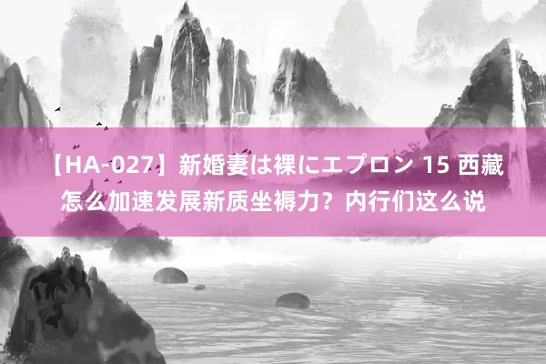 【HA-027】新婚妻は裸にエプロン 15 西藏怎么加速发展新质坐褥力？内行们这么说