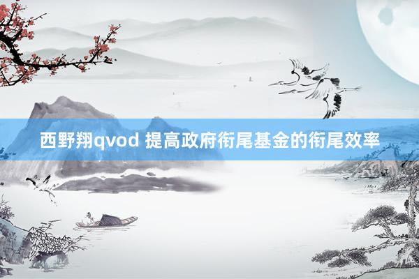 西野翔qvod 提高政府衔尾基金的衔尾效率