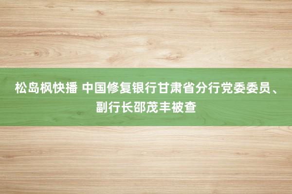 松岛枫快播 中国修复银行甘肃省分行党委委员、副行长邵茂丰被查