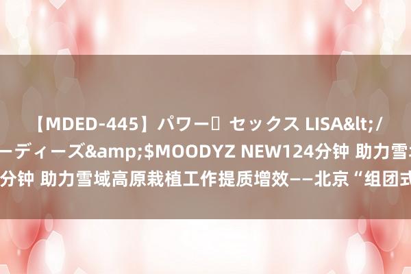 【MDED-445】パワー・セックス LISA</a>2005-08-13ムーディーズ&$MOODYZ NEW124分钟 助力雪域高原栽植工作提质增效——北京“组团式”栽植援藏十年间