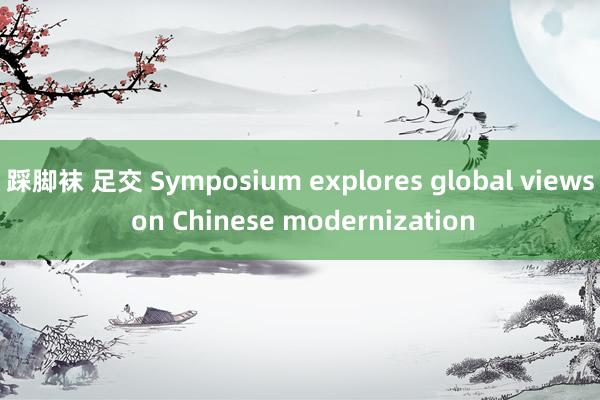 踩脚袜 足交 Symposium explores global views on Chinese modernization