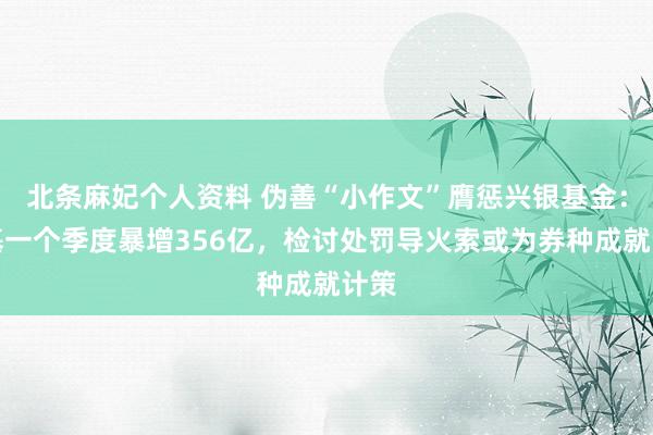 北条麻妃个人资料 伪善“小作文”膺惩兴银基金：货基一个季度暴增356亿，检讨处罚导火索或为券种成就计策