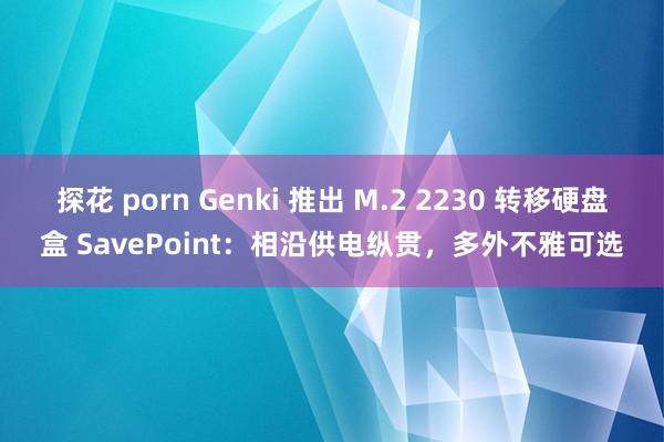 探花 porn Genki 推出 M.2 2230 转移硬盘盒 SavePoint：相沿供电纵贯，多外不雅可选