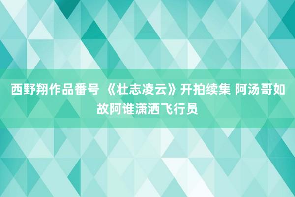 西野翔作品番号 《壮志凌云》开拍续集 阿汤哥如故阿谁潇洒飞行员