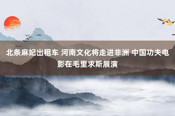 北条麻妃出租车 河南文化将走进非洲 中国功夫电影在毛里求斯展演