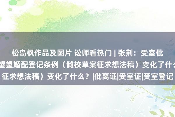 松岛枫作品及图片 讼师看热门 | 张荆：受室仳离无需再拿户口簿？来望望婚配登记条例（雠校草案征求想法稿）变化了什么？|仳离证|受室证|受室登记