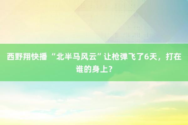 西野翔快播 “北半马风云”让枪弹飞了6天，打在谁的身上？