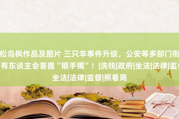 松岛枫作品及图片 三只羊事件升级，公安等多部门衔尾介入，有东谈主会喜提“银手镯”！|洗钱|政府|坐法|法律|监督|照看局